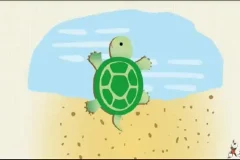 儿童识字启蒙课：中华字课3000字（180课MP4）