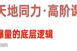 天地同力操盘体系课：爆量的底层逻辑（基础课+高阶课）