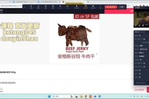 蚂蚁电商千川自然流实战课：短视频+直播爆量技巧