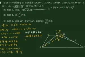 王若钊初中数学相似专题精讲视频课程