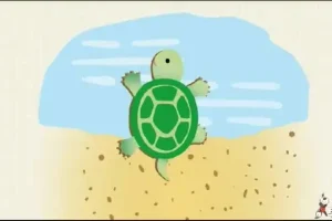 儿童识字启蒙课：中华字课3000字（180课MP4）