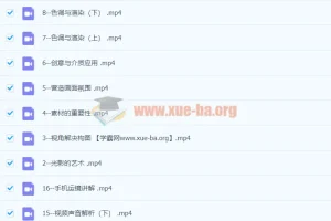 李辉手机视频拍摄美学课：从0基础开启用一部手机完成视频创作