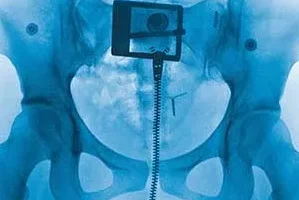 Lorde《Virgin》[无损FLAC/MP3/565MB]