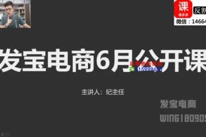 拼多多运营必修课：0基础起店到爆单实战