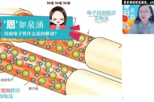 2024初三物理高效复习：廉思佳人教版全攻略