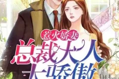 有声小说《惹火娇妻：总裁大人太骄傲》 温暖柔光江小白播讲749集