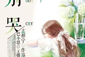 有声小说《别哭》 43集全 巴小恩播音