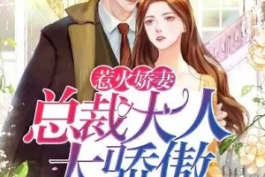 有声小说《惹火娇妻：总裁大人太骄傲》 温暖柔光江小白播讲749集