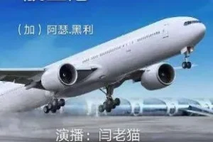 阿瑟.黑利职场小说《航空港》 82集全