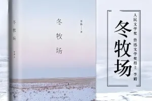 茅盾文学新人奖《冬牧场》 60集完结