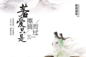 有声小说《若爱只是擦肩而过》 43集全