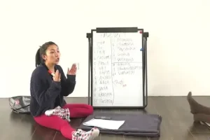 瑜伽全攻略：100课从入门到精通，涵盖10大流派