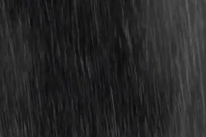 零基础到高手：130G沙雕动画全教程+素材