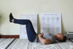 麦大湿细腰训练全攻略：解剖+案例+进阶教程