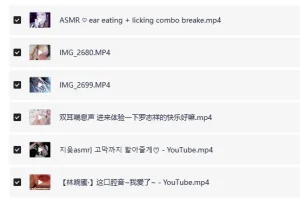 《美女视频素材耳边低语轩子巨兔等ASMR正经资源高清视频》[MP4][27.08GB]