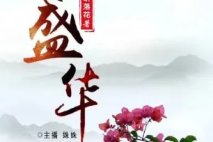 有声小说《盛华》 465集完结