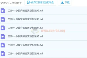 兰彦岭《总裁突破性演说智慧》（6集）