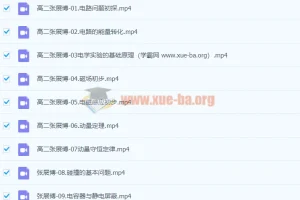 2024高二物理 张展博物理 一轮 暑假班