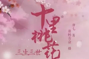 有声小说《三生三世十里桃花》 影视剧原著多人有声剧 48集完结