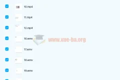 剑桥商务英语 BEC商务英语 初级+中级+高级视频教程全套