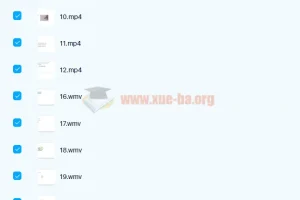 剑桥商务英语 BEC商务英语 初级+中级+高级视频教程全套