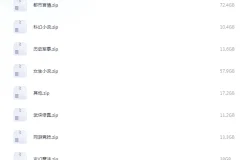 《笔趣阁全站网络小说大合集 31w本》[txt]