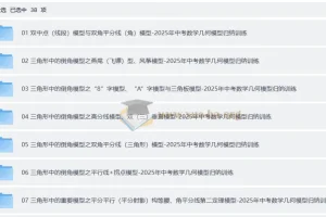 2024-2025中考数学-几何模型归纳训练（全国通用）