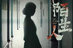 有声小说《陌生人》 陈研一首部女性悬疑力作 53集完结