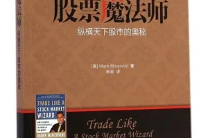 《股票魔法师：纵横天下股市的奥秘》(交易大师系列)米勒维尼 豆瓣8.9[PDF]