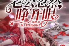 《新婚夜，植物人老公忽然睁开眼》多人有声剧 主播：点众听书 1236集完[MP3]