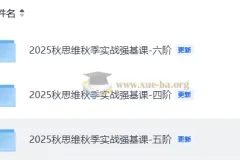 小学数学 2025秋思维秋季实战强基课4-6阶