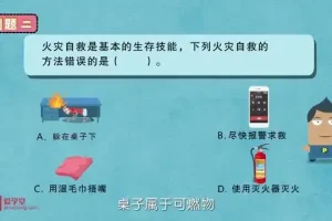 《堂豆学化学：初中化学趣味动画全解析》