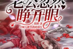 《新婚夜，植物人老公忽然睁开眼》多人有声剧 主播：点众听书 1236集完[MP3]