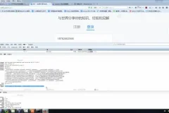 新版Scrapy实战：Python分布式爬虫与搜索引擎搭建