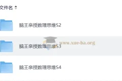 小学数学 脑王亲授数理思维S2-S3-S4合集