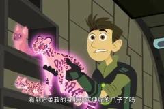 《动物兄弟》全6季158集 1080P超清中英双语