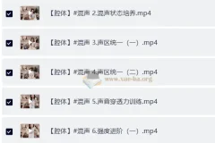 卷卷老师流行声乐课训练营 77GB