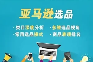 阿甘亚马逊跨境电商利基选品案例课