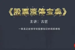 古匠 股票涨停宝典：高级炒股课程