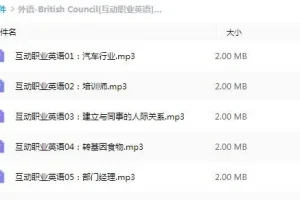 有声书《British Council 互动职业英语》 全30集 Joyce