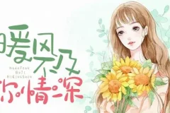 有声小说《暖风不及你情深》 多人有声剧 622集完结