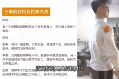 小萝卜四分化健身入门：零基础全身训练指南