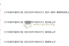 2025版小升初 阳光同学冲刺48天 小学数学