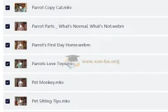 油管热门英文儿童动物科普节目《动物奇观 Animal Wonders》