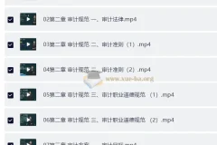 【高级审计师】25年高级审计师备考资料（教材+视频+讲义）