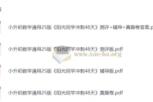 2025版小升初 阳光同学冲刺48天 小学数学