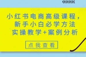 小红书零基础电商高级实操课 含案例分析