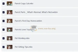 油管热门英文儿童动物科普节目《动物奇观 Animal Wonders》