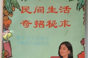 《民间生活奇招秘术》：近千条90年代民间智慧宝典