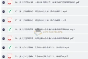 引爆自律力 30天攻克惰性，带你夺回人生主导权